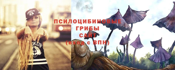 spice Вяземский