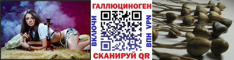 Галлюциногенные грибы Magic Shrooms  цены наркотик  Зуевка 